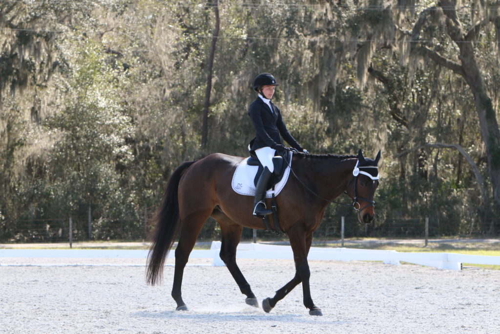 Kendall Dressage on Luis Kendall Dressage on Luis