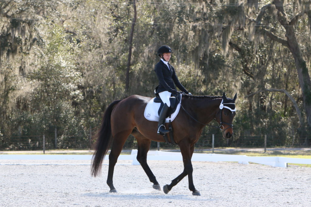 Kendall Dressage on Luis