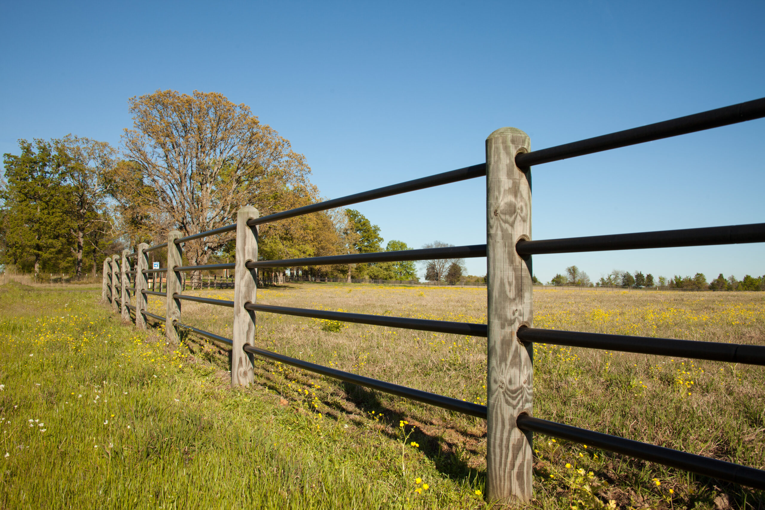 Ponderosa Fence 2